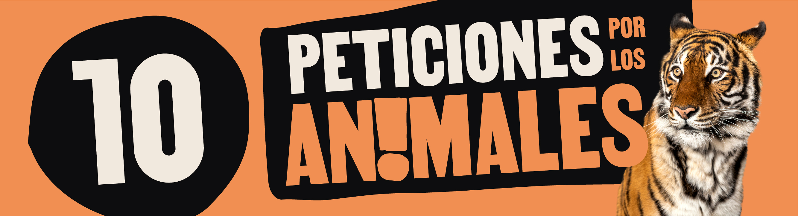 Vota por los Animales 2024 | ¡Pide a los candidatos que se comprometan por los animales!