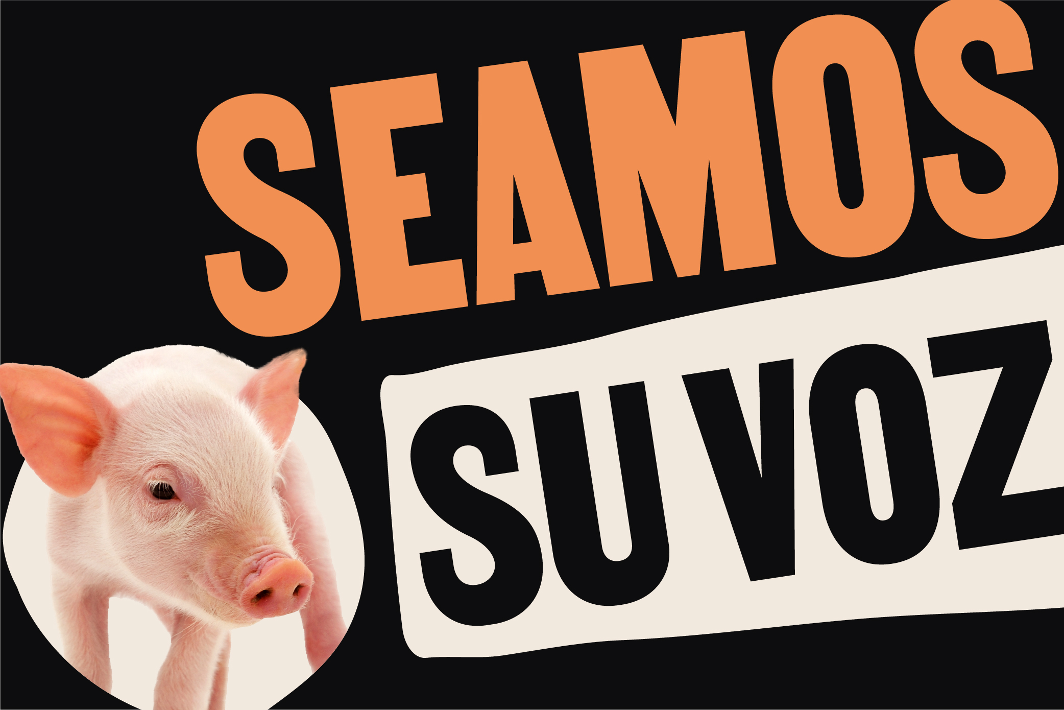 Vota por los Animales 2024 | ¡Pide a los candidatos que se comprometan por los animales!