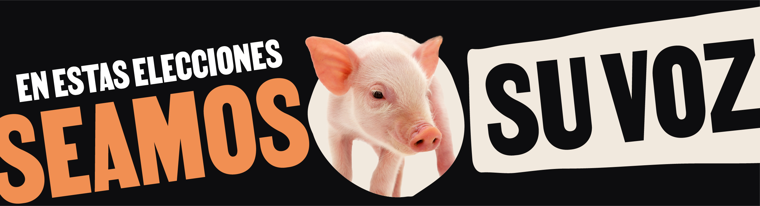 Vota por los Animales 2024 | ¡Pide a los candidatos que se comprometan por los animales!